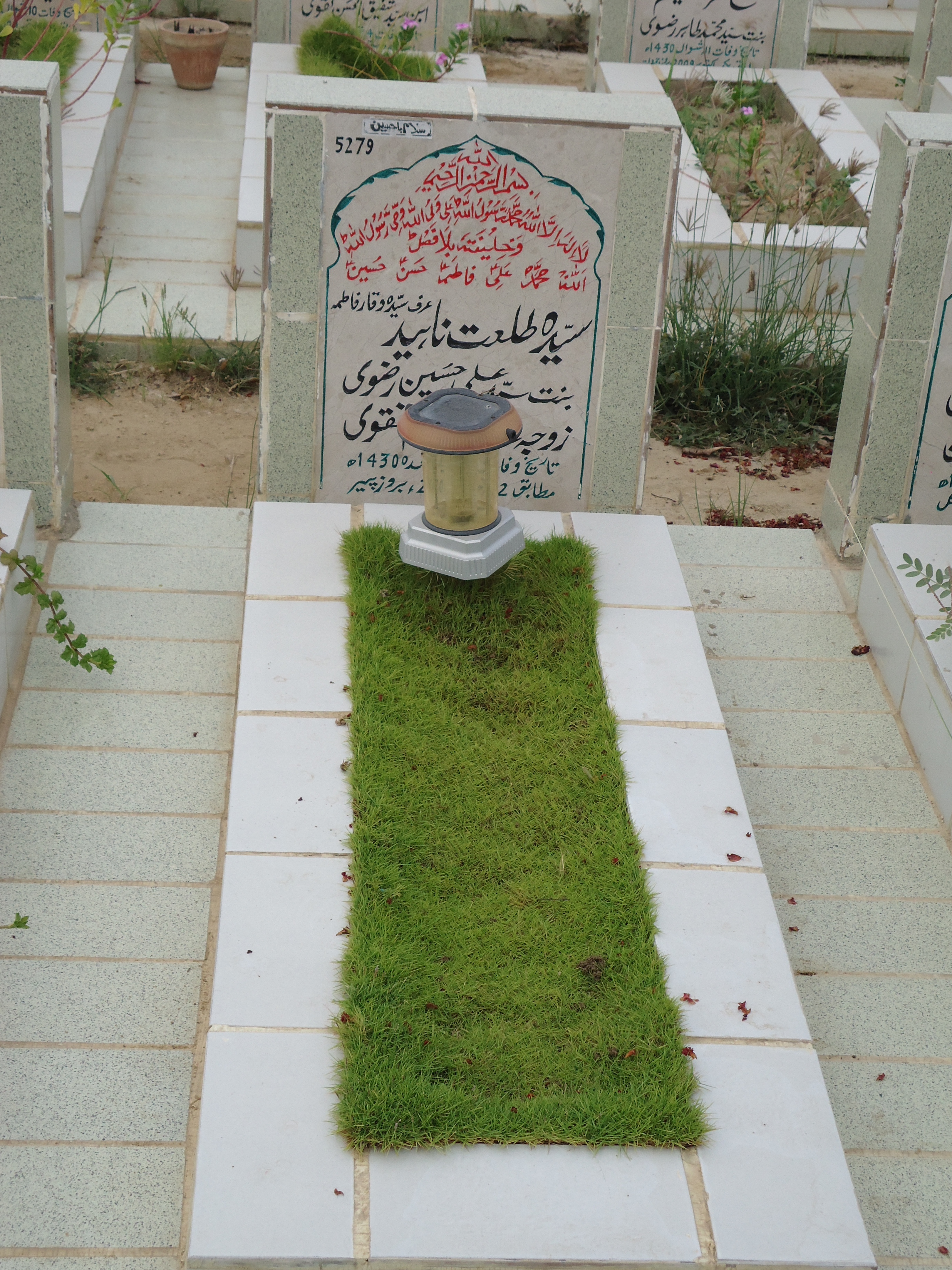 5279 – Syeda Talat Naheed